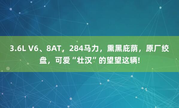 3.6L V6、8AT，284马力，熏黑庇荫，原厂绞盘，可爱“壮汉”的望望这辆!
